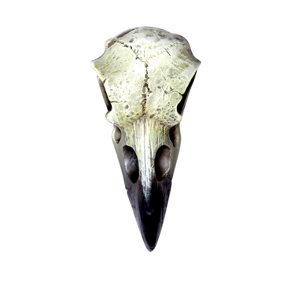 Raven Skull Sm