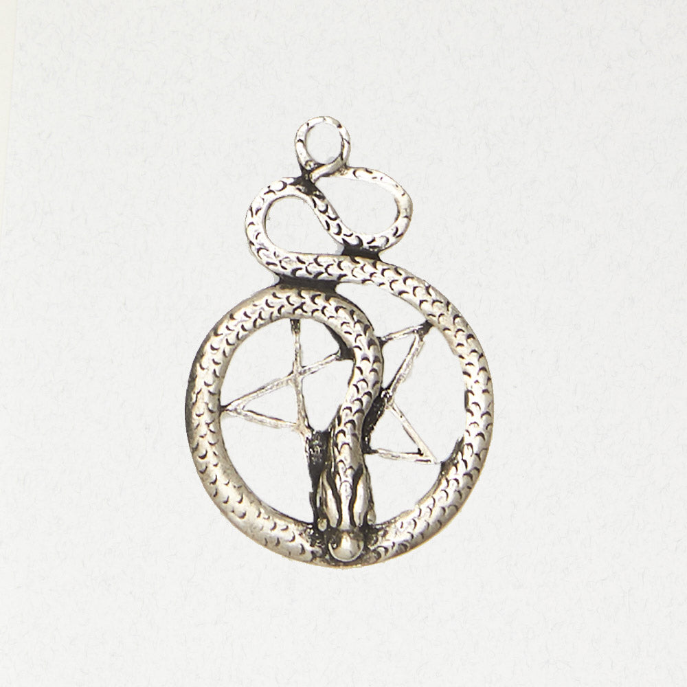 Pentacle with Snake Necklace