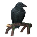 Raven Statue
