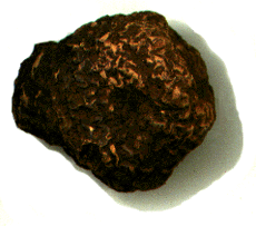 High John Root