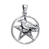 Raven in Pentacle