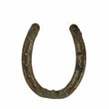 Genuine Used Horseshoe