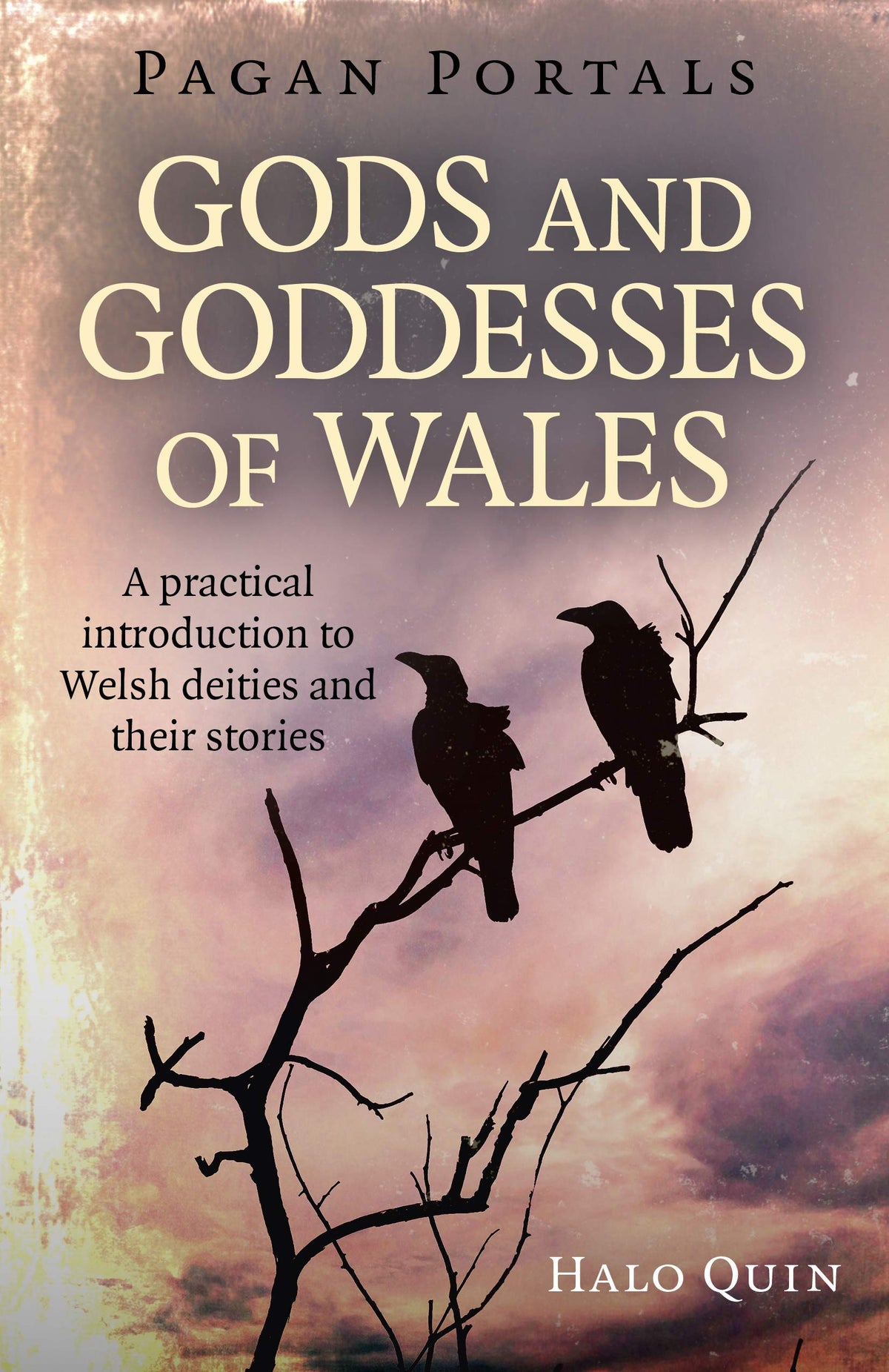 Pagan Portals - Gods & Goddess of Wales