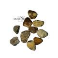Ocean Jasper