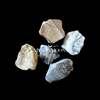 Picture Jasper Rough
