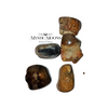 Petrified Wood