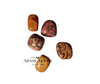 Leopard Skin Jasper