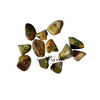 Rainforest Jasper