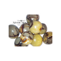 Septarian