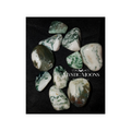 Tree Agate